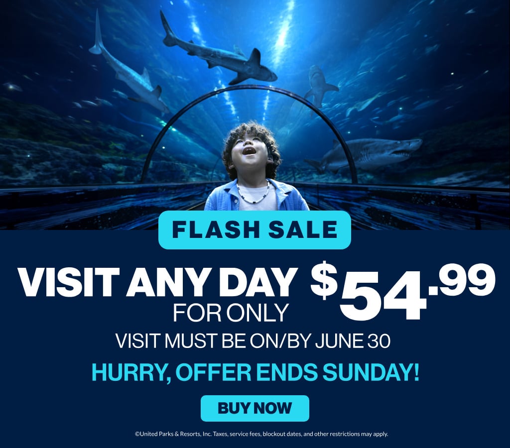Flash sale visit any day for only $54.99 through June 30