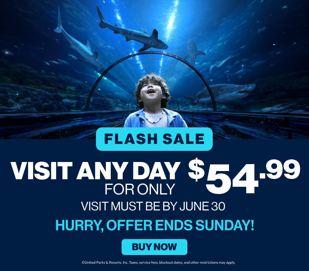 Flash sale visit any day for only $54.99 through June 30