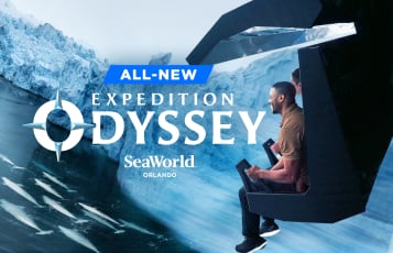 Expedition Odyssey