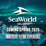 Immersive Flying Experience