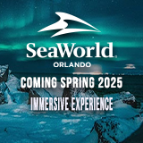 Immersive Experience