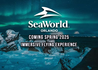 Immersive Flying Experience