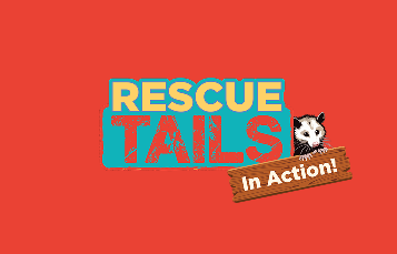 Rescue Tails