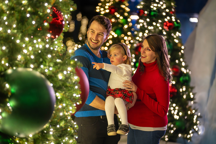 Christmas Celebration