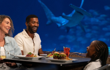 Sharks Underwater Grill