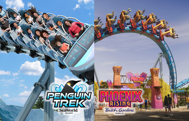 Seaworld Phoenix Rising Florida Vacation Packages - SeaWorld Vacations | SeaWorld Orlando