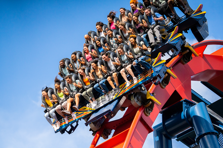 Sheikra