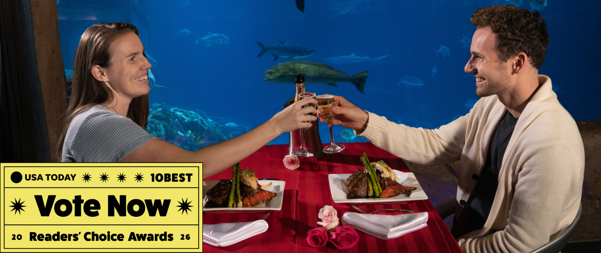 Two people dining in front of an aqaurium