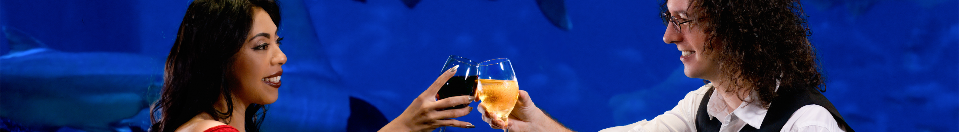 Valentine's Day Dinner at Sharks Underwater Grill