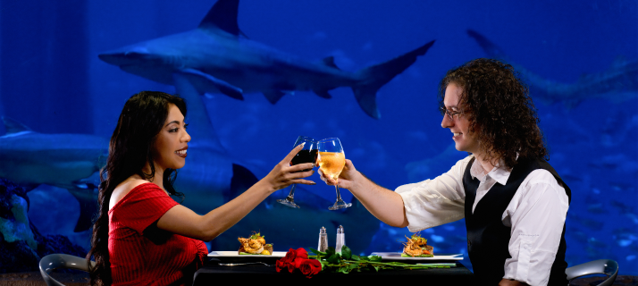 Valentine's Dinner at Sharks Underwater Grill