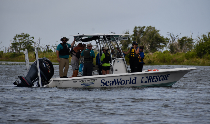 SeaWorld Rescue boat carrying out a mission.