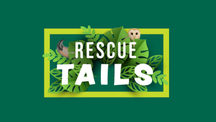 Rescue Tails at Busch Gardens. 