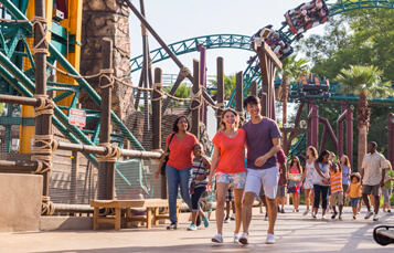 Experience Busch Gardens Tampa Bay