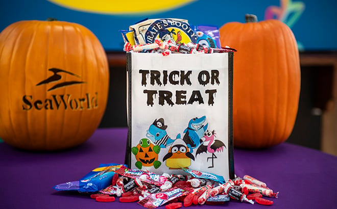 Halloween Spooktacular Candy Bag