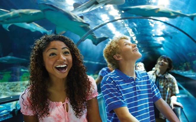 Free Guest Ticket with a SeaWorld Silver Annual Pass