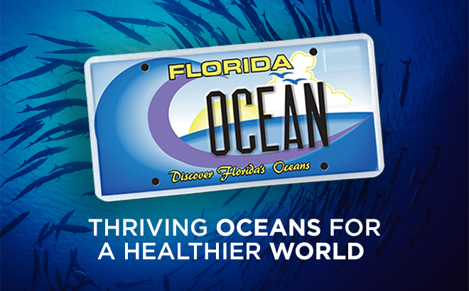 Discover Florida's Oceans License Plate
