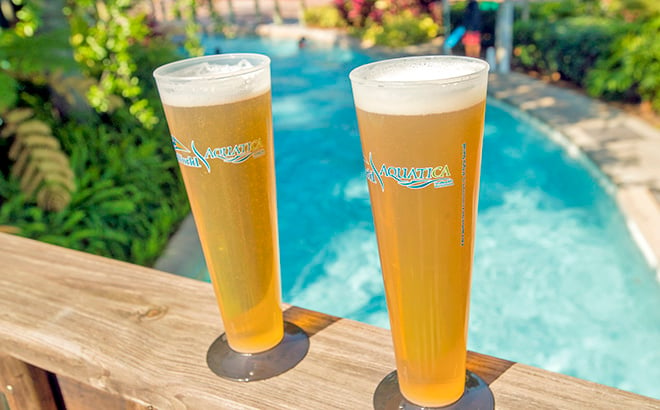 Celebrate Beer Day at Aquatica Orlando