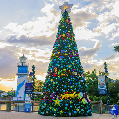 Christmas Trees at SeaWorld Orlando