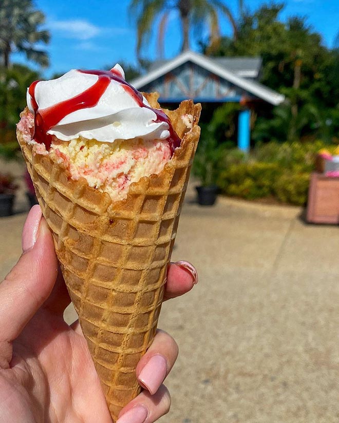 White Chocolate Raspberry Cheesecake Waffle Cone available during SeaWorld Seven Seas Food Festival