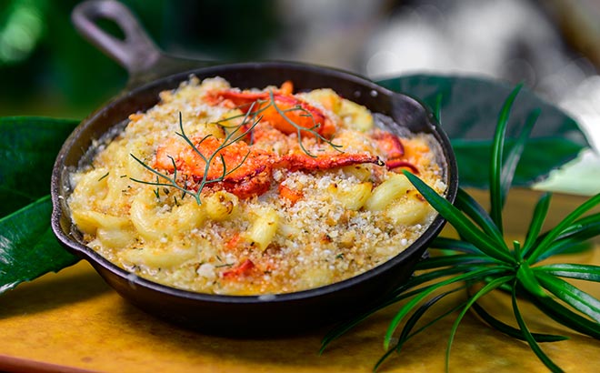 Lobster Mac and Cheese available during SeaWorld Seven Seas Food Festival