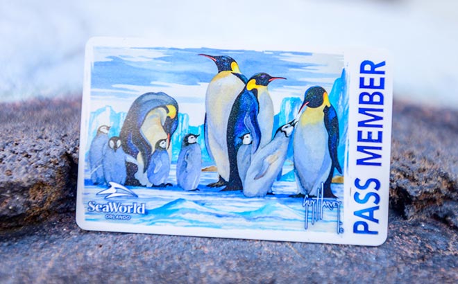 Pass Member Card with Guy Harvey Penguin Design