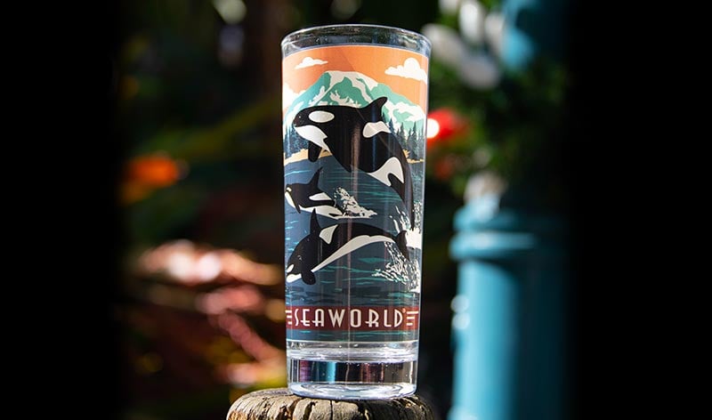 SeaWorld Pass Member Collectible Sharks Glass