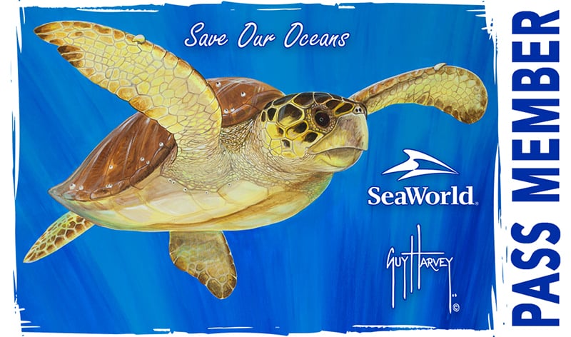 SeaWorld Pass Member Card with Guy Harvey Sea Turtle Image