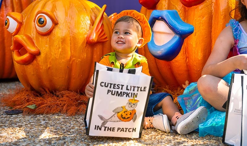 SeaWorld Halloween Spooktacular with a toddler