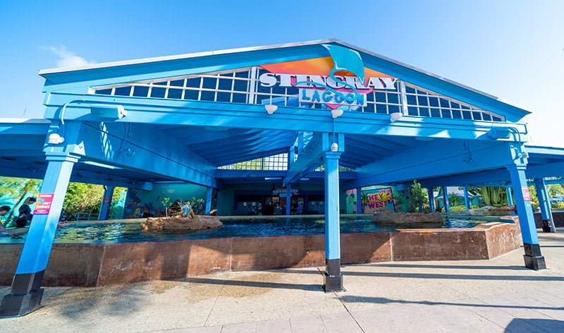 Stingray Lagoon at SeaWorld Orlando
