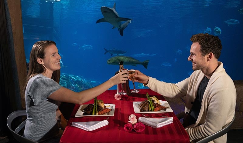 Valentines Meal at Sharks Underwater Grill