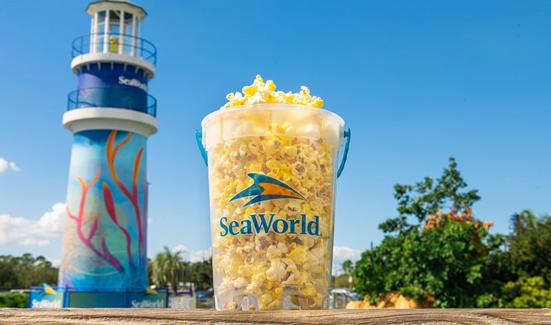SeaWorld Popcorn Bucket