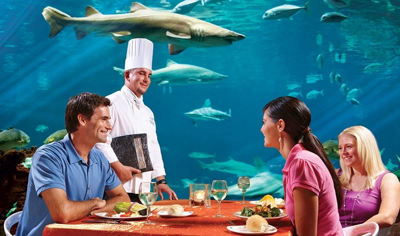 Sharks Underwater Grill restaurant at SeaWorld Orlando
