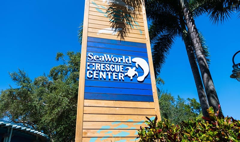 SeaWorld Rescue Center