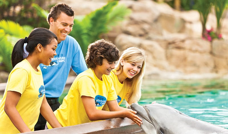 SeaWorld Summer Camps at dolphin interaction