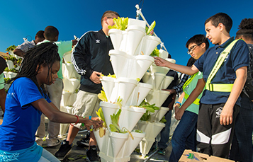 SeaWorld Orlando Hydroponics Garden