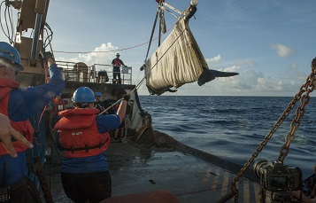 SeaWorld Orlando successfully returns Pilot Whale