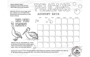 August Kids Calendar