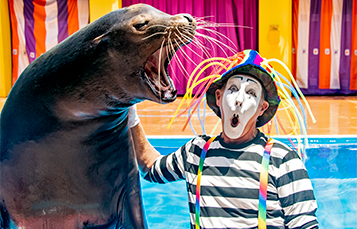 July Pass News at SeaWorld Orlando