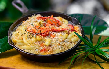 Lobster Mac and Cheese available during SeaWorld Seven Seas Food Festival
