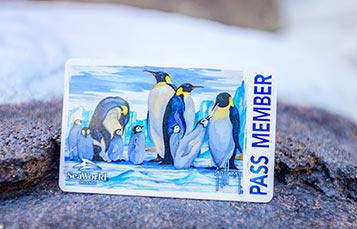 Pass Member Card with Guy Harvey Penguin Design