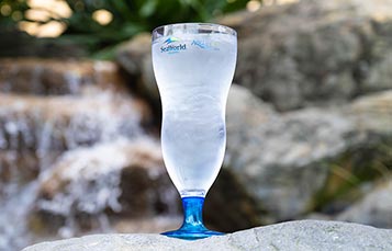Free SeaWorld Souvenir Cup