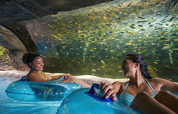 Loggerhead Lane at Aquatica Orlando