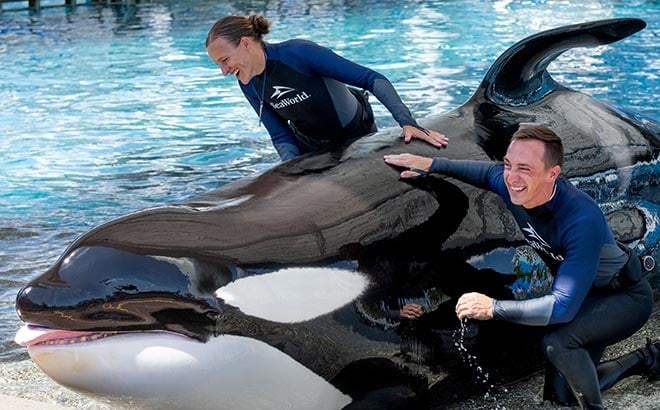 Animal Care Specialists with Orca
