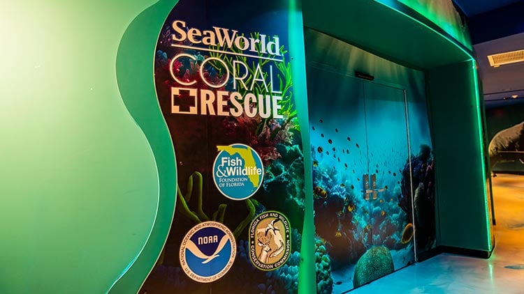 Coral Rescue Center at SeaWorld Orlando