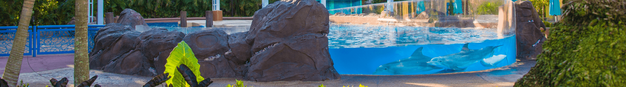 Dolphin Nursery Banner