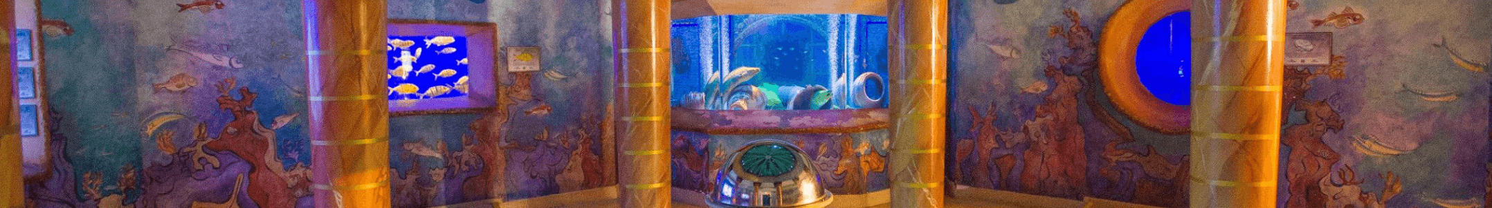 Jewel of the sea banner