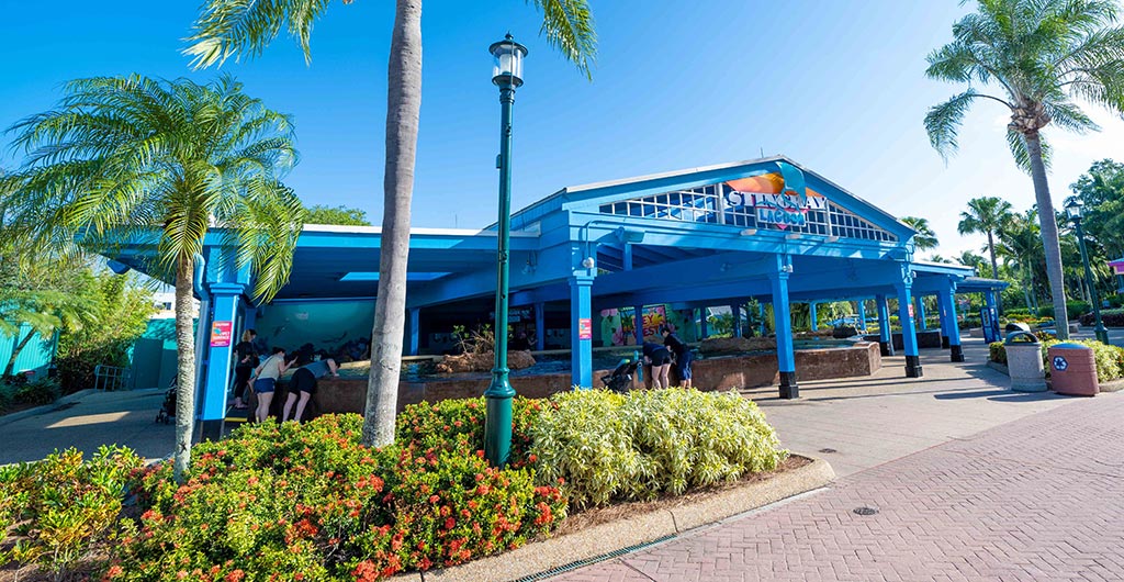 Stingray Lagoon at SeaWorld Orlando