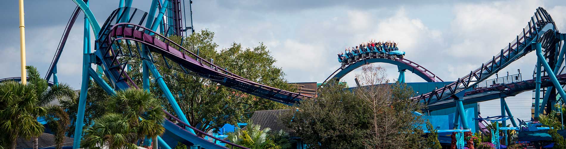 Wide show of Mako at SeaWorld Orlando