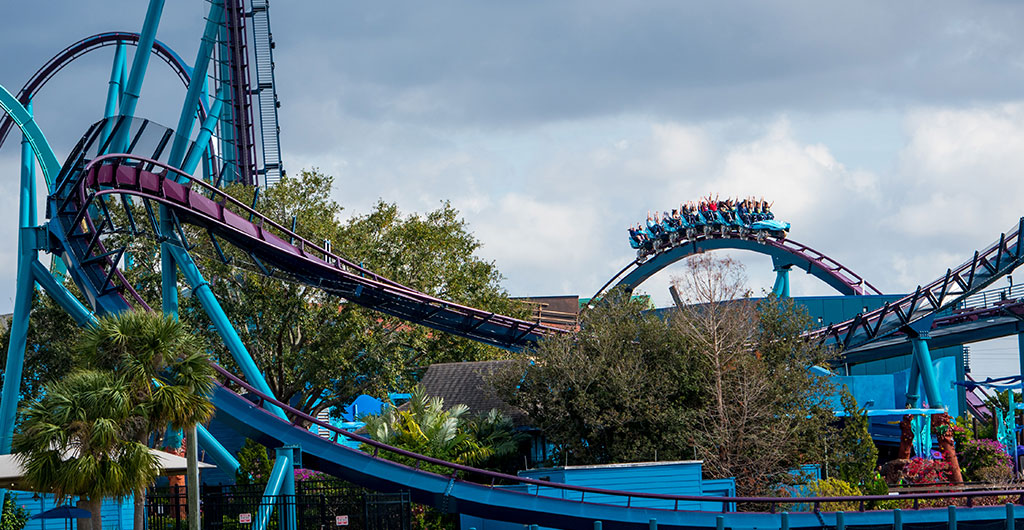 Mako wide shot at SeaWorld Orlando