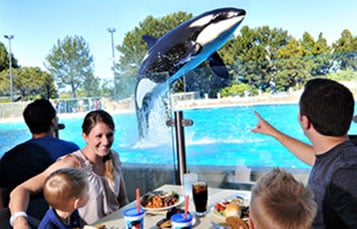 Enjoy a delicious buffet meal during Dine with Orcas.